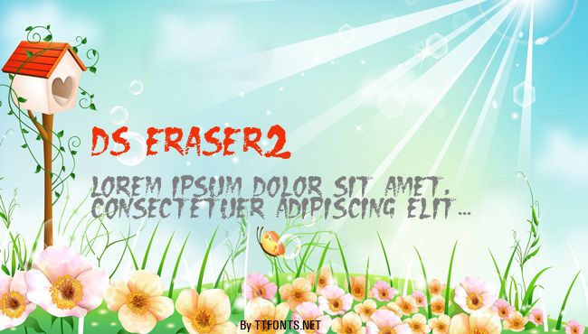 DS Eraser2 example